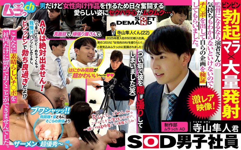 【企画❤】SOD男子社員 制作部 ムラっch AD 寺山隼人君 ビンビン勃起マラ×大量発射 監督になるなら演者さんの気持ちもわからないといけないのでチ〇ポを出して自らの企画を検証してもらいました。｜