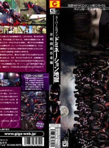 辰美はな❤スーパーヒロイン ドミネーション地獄 女戦闘員忍者編[アクション・格闘]評価