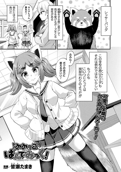 【ファンタジー】みみっこ・ぱんでみっく！―陽気なレッサーパンダ―【単話】｜皆瀬たまき