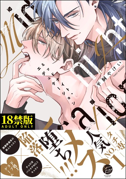 【単行本】ミッドナイト・エデュケーション【極】｜平飼やけい