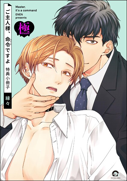 【単話】ご主人様、命令ですよ 特典小冊子【極】（単話）｜縁々