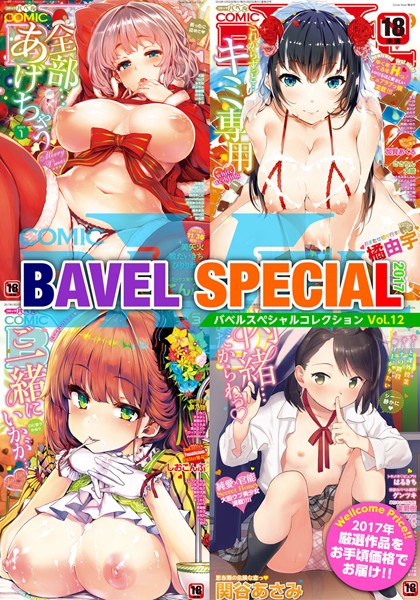 【単行本】COMIC BAVEL SPECIAL COLLECTION（コミックバベル スペシャルコレクション） VOL12｜美矢火