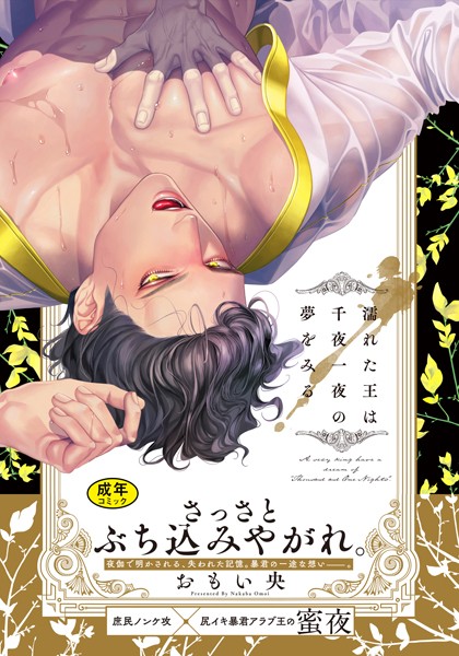 【単行本】【18禁版】濡れた王は千夜一夜の夢をみる【単行本版（電子限定描き下ろし付）】｜おもい央