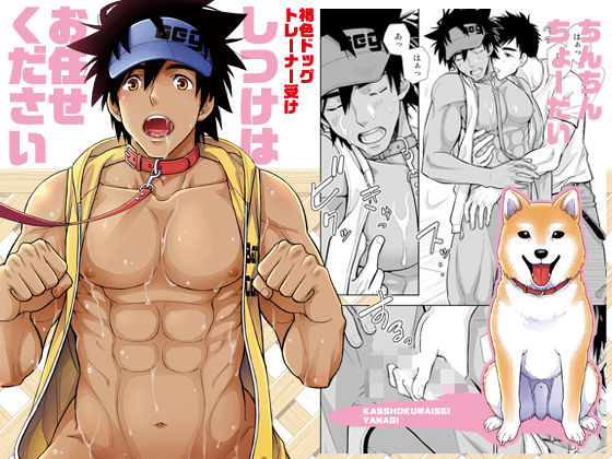 【筋肉】しつけはお任せください｜