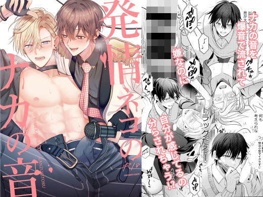 【異物挿入】発情ネコのナカの音｜