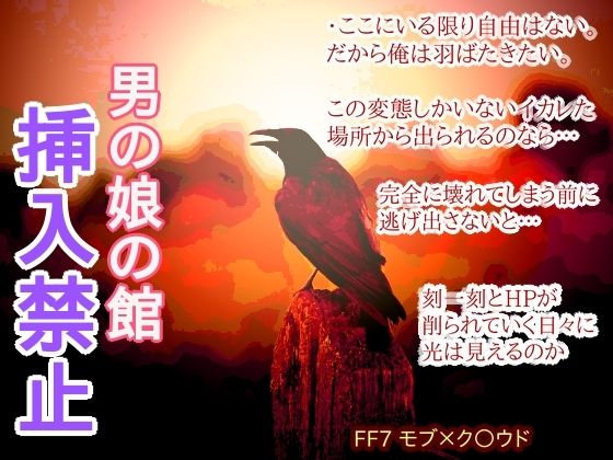 【拘束】男の娘の館 挿入禁止｜