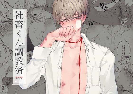 【BL（ボーイズラブ）】社畜くん調教済｜