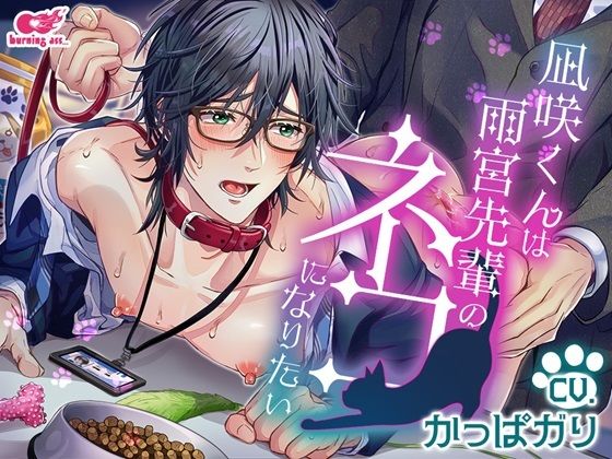 【BL（ボーイズラブ）】凪咲くんは雨宮先輩のネコになりたい｜