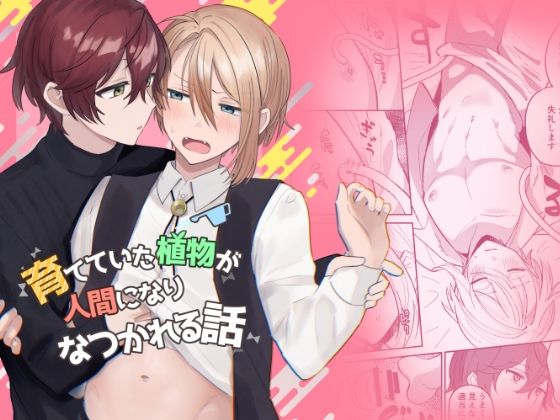 【触手】育てていた植物が人間になりなつかれる話｜
