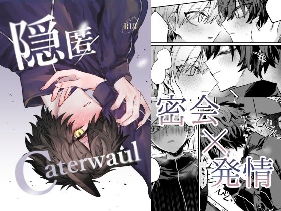 【学園もの】隠匿Caterwaul｜