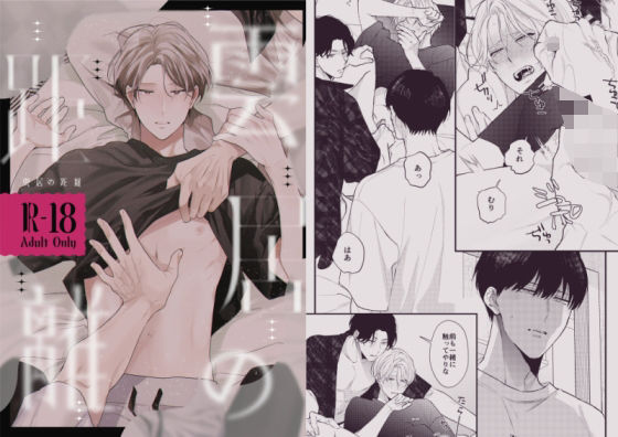 【BL（ボーイズラブ）】雲居の距離｜