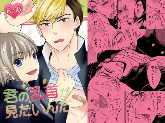 【BL（ボーイズラブ）】君の乳首が見たいんだ｜