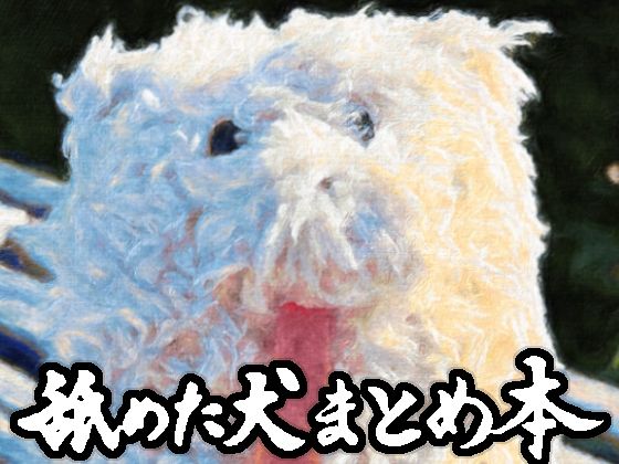 【ギャグ・コメディ】舐めた犬まとめ本｜