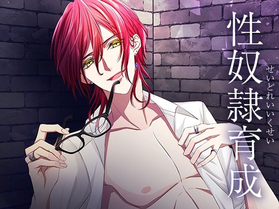 【BL（ボーイズラブ）】性奴●育成｜