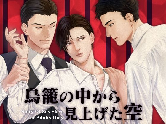 【BL（ボーイズラブ）】鳥籠の中から見上げた空｜