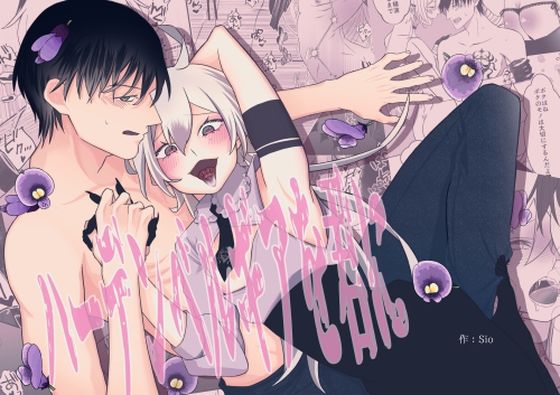 【ファンタジー】ハーデンベルギアを君に｜