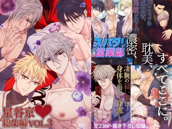 【拘束】星谷京総集編 VOL.3｜