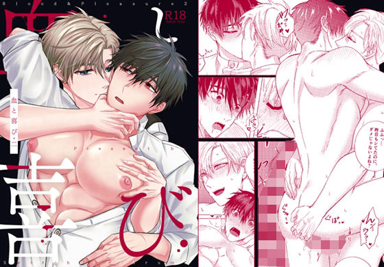 【中出し】血と喜び・二｜