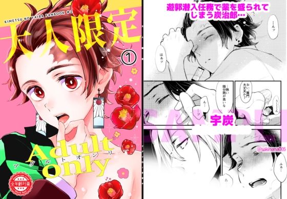 【全年齢向け】Adult only-大人限定1｜