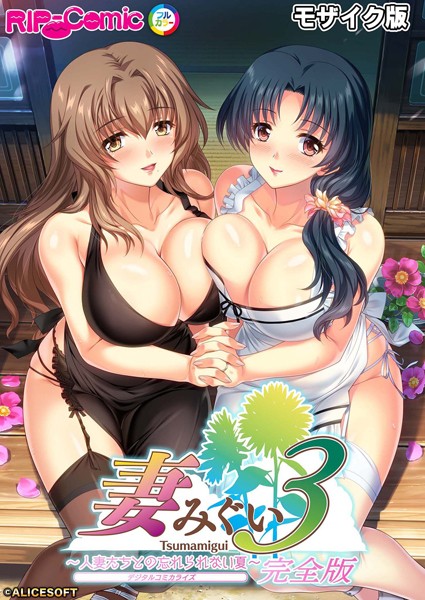 【単行本】妻みぐい3 〜人妻たちとの忘れられない夏〜 デジタルコミカライズ モザイク版【完全収録】｜BENETTY