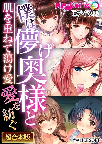 【単行本】僕は儚げ奥様と愛を紡ぐ 〜肌を重ねて蕩け愛〜【超合本シリーズ】 モザイク版｜BENETTY