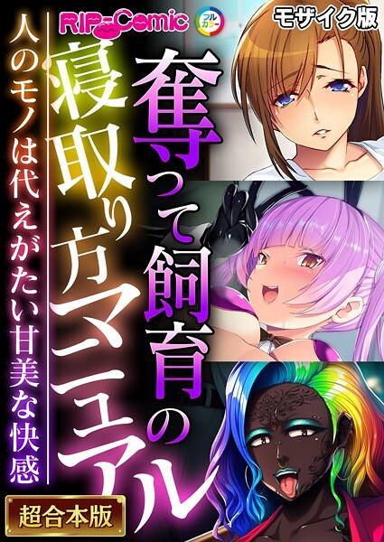 【フルカラー】奪って飼育の寝取り方マニュアル 〜人のモノは代えがたい甘美な快感〜【超合本シリーズ】 モザイク版｜BENETTY