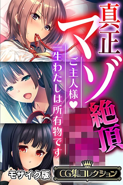 【フルカラー】真正マゾ絶頂●● 〜ご主人様 一生わたしは所有物です〜【CG集コレクション】 モザイク版｜大人のSEXY絵本