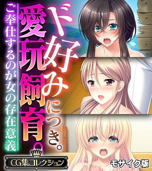 【フルカラー】ド好みにつき。愛玩飼育。 〜ご奉仕するのが女の存在意義〜【CG集コレクション】 モザイク版｜大人のSEXY絵本