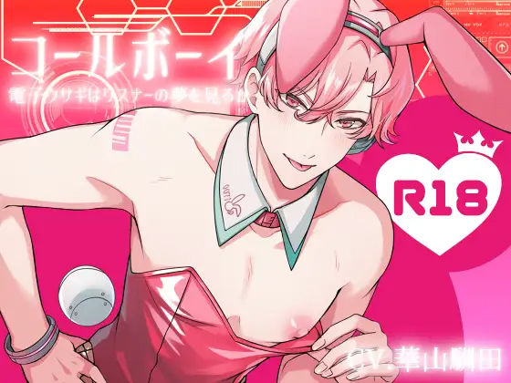 【ファンタジー】【KU100】コールボーイ 電子ウサギはリスナーの夢を見るか｜