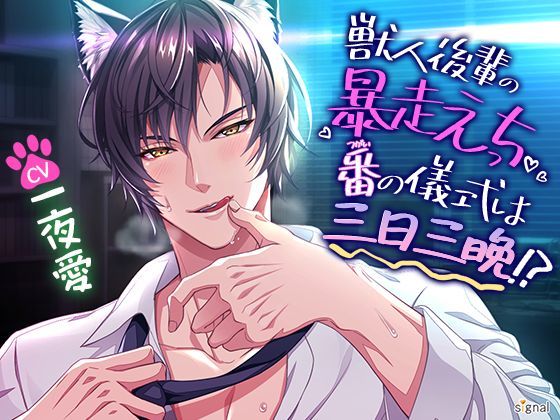 【オフィス・職場】獣人後輩の暴走えっち 番（つがい）の儀式は三日三晩！？｜