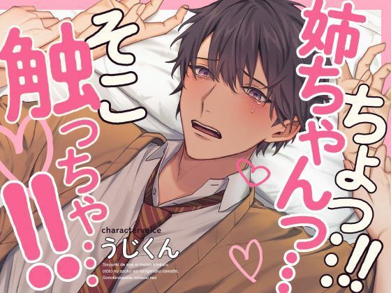 【近親相姦】思春期で姉に反抗してくる弟のあそこをさりげなく触って、その気にさせて押し倒しセックス｜