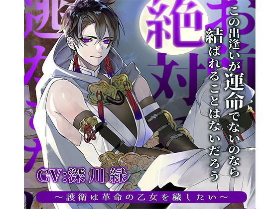 【ファンタジー】お前を絶対に逃がさない 〜護衛は革命の乙女を穢したい〜｜