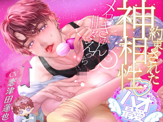 【中出し】私の推しぬいが人間になっちゃった！！ ＋＋:約束された神相性:＋＋ メロきゅん甘々えっち｜