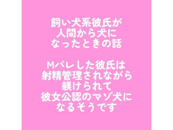 【ラブラブ・あまあま】飼い犬系彼氏が人間から犬になったときの話 〜Mバレした彼氏は射精管理されながら躾けられて彼女公認のマゾ犬になるそうです〜｜
