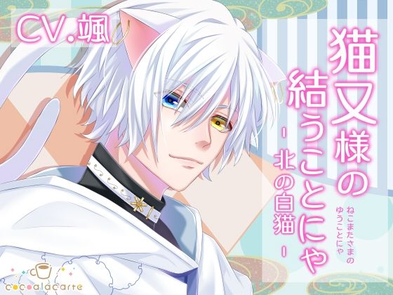【ファンタジー】猫又様の結うことにゃ -北の白猫-｜