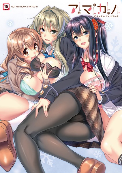 【単行本】アマカノビジュアルファンブック｜ピロ水