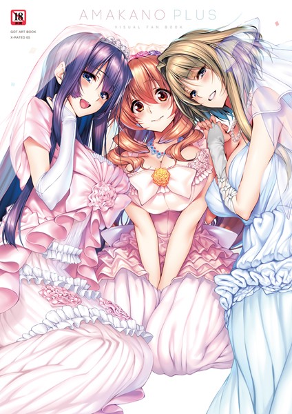 【単行本】アマカノ＋ ビジュアルファンブック｜★5.00