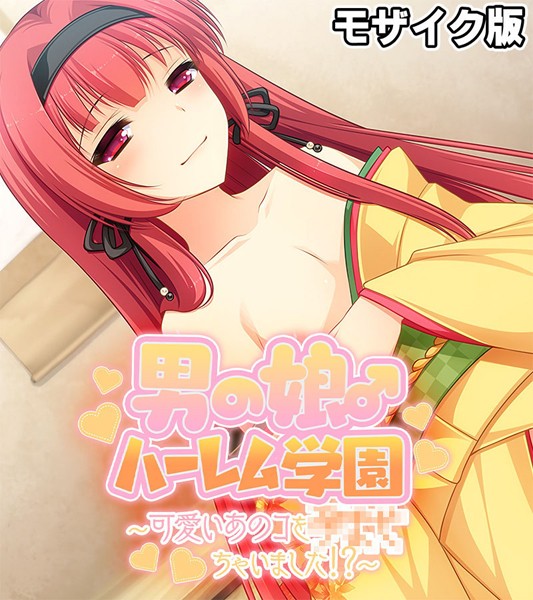 【フルカラー】男の娘♂ハーレム学園 モザイク版｜大人のSEXY絵本