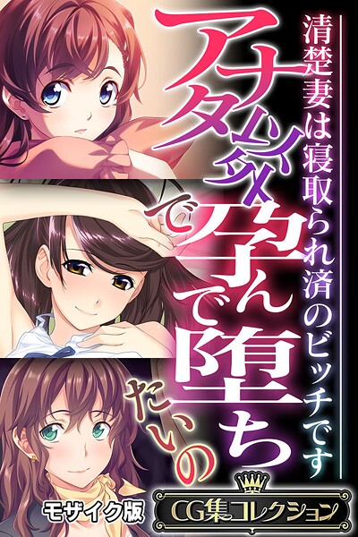 【フルカラー】アナタ以外で孕んで堕ちたいの 〜清楚妻は寝取られ済のビッチです〜【CG集コレクション】 モザイク版｜大人のSEXY絵本