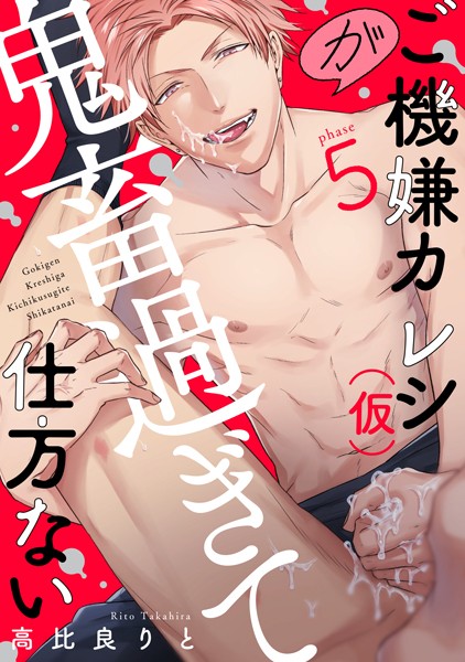 【単話】ご機嫌カレシ（仮）が鬼畜過ぎて仕方ない（単話）｜高比良りと