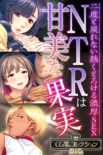 【単行本】NTRは甘美な果実〜二度と戻れない熱くとろける濃厚SEX〜【CG集コレクションBIG】｜★