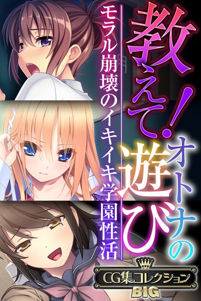 【単行本】教えて！オトナの遊び 〜モラル崩壊のイキイキ学園性活〜【CG集コレクションBIG】｜★
