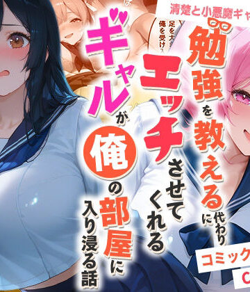 【制服】勉強を教える代わりにエッチをさせてくれるギャルが俺の部屋に入り浸る話 〜清楚と小悪魔ギャルの純愛編〜｜夜の快楽★